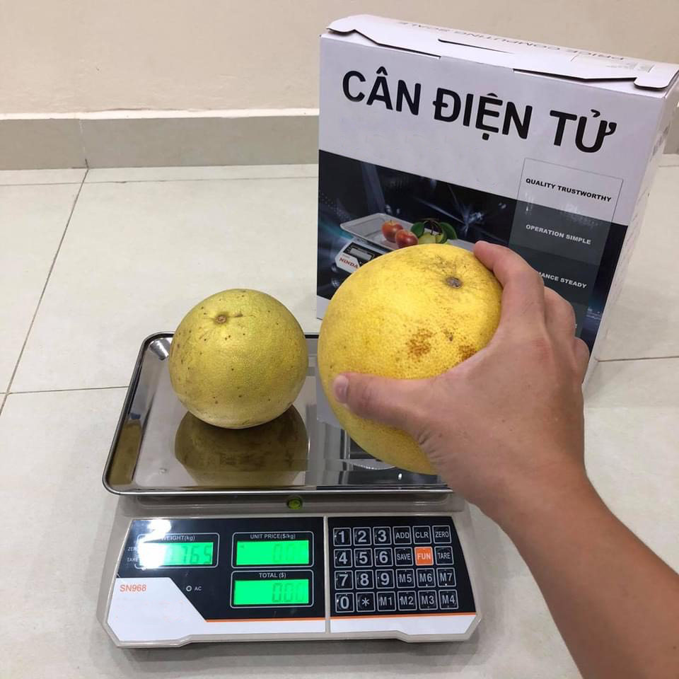 433ee99b6120af7ef631